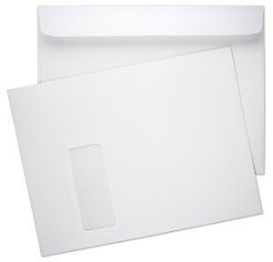 9 x 12 Booklet 28lb White Wove Vertical Window 2