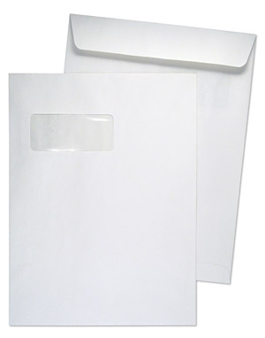 9 x 12 Catalog 28lb White Wove Horizontal Window 2